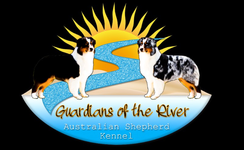 Logo Guardians